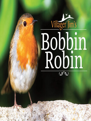 cover image of Villager Jim's Bobbin Robin